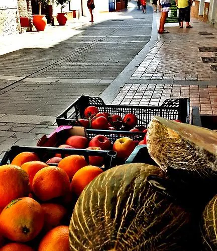 Casa Jazmin Carabeo Willa *